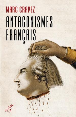 Cover of the book Antagonismes français by Jean-pierre Zarader