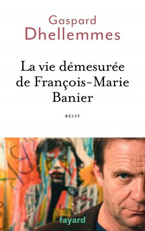 Cover of the book La vie démesurée de François-Marie Banier by Hervé Leuwers