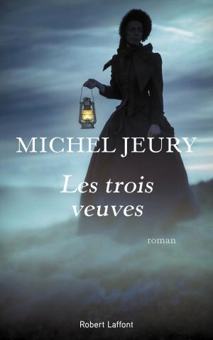 Cover of the book Les Trois Veuves by Janine BOISSARD