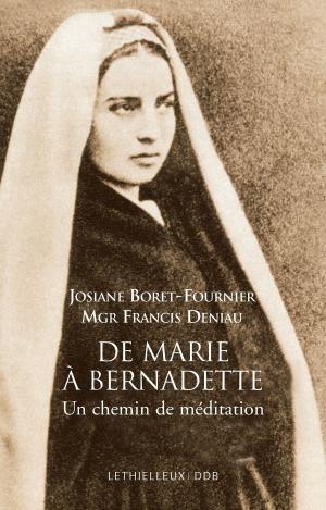 Cover of the book De Marie à Bernadette by Charles Journet