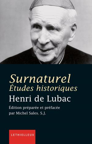 Book cover of Surnaturel