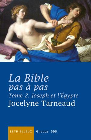 Cover of La Bible pas à pas, tome 2