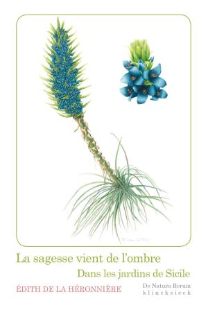 Cover of the book La sagesse vient de l’ombre by Eugène Fromentin, Patrick Tudoret