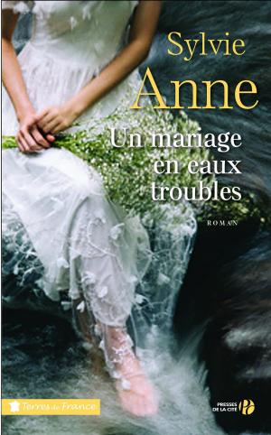 Cover of the book Un mariage en eaux troubles by Renaud DELY
