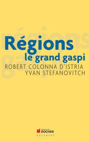 Cover of the book Régions by Falk van Gaver, Kassam Maaddi