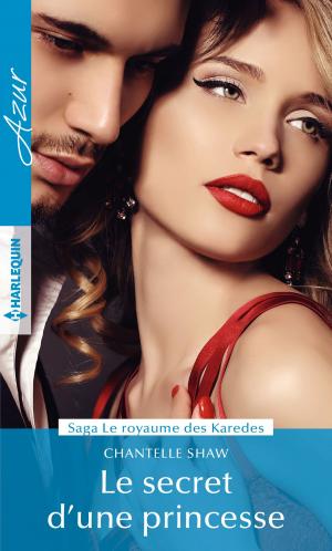 Cover of the book Le secret d'une princesse by Elisabeth Hobbes