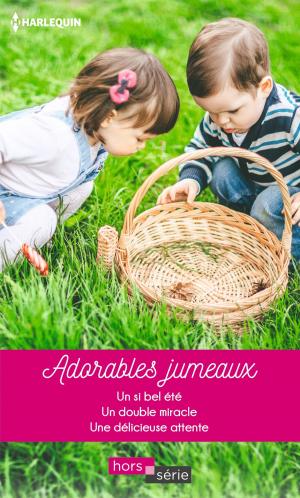 Book cover of Adorables jumeaux