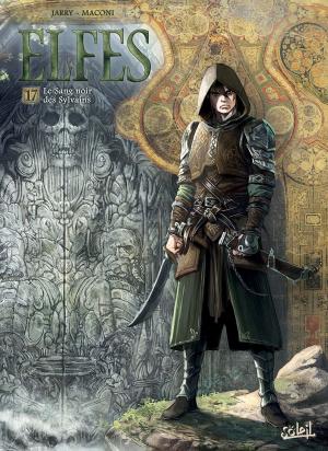Cover of the book Elfes T17 by Christophe Arleston, Jean-Luc Sala, Éric Hübsch