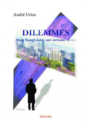 Cover of the book Dilemmes by Monique Louberhis