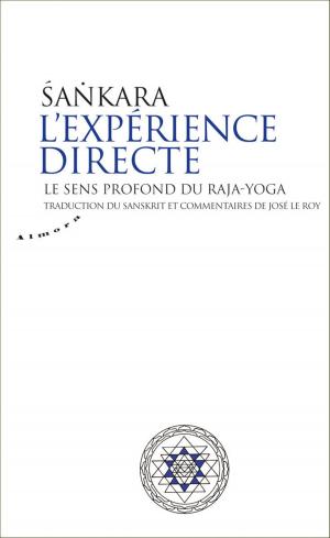 Cover of the book L'expérience directe - Le sens profond du raja-yoga by Anita Werther