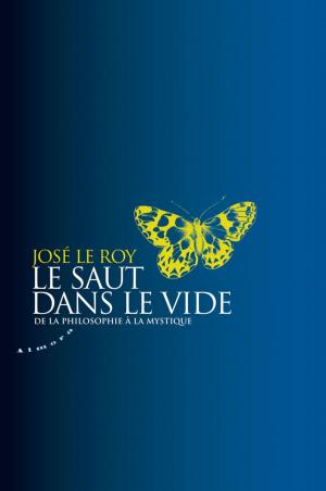 Cover of the book Le saut dans le vide - De la philosophie à la mystique by Robert Merodack