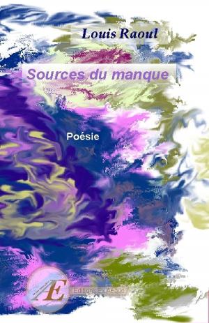 Cover of the book Sources du manque by Thierry Dufrenne