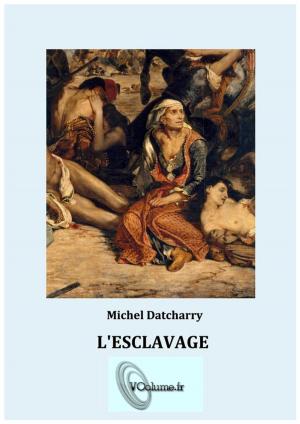 Book cover of L'esclavage