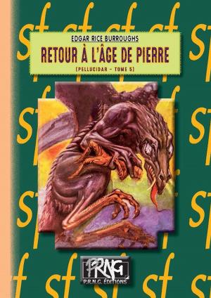 Book cover of Retour à l'Âge de pierre