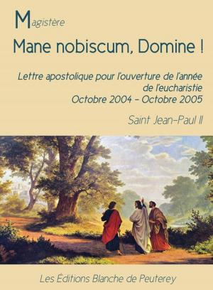 Cover of the book Mane nobiscum, Domine by Benoit Xvi