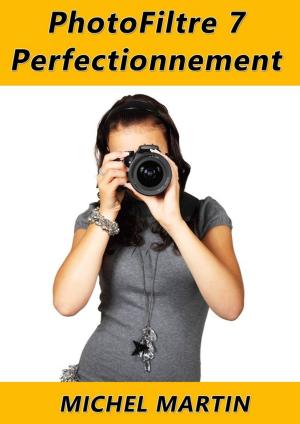 Book cover of PhotoFiltre 7 - Perfectionnement