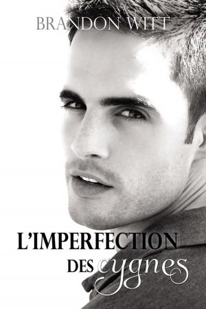 Cover of the book L'Imperfection des cygnes by Christi Snow