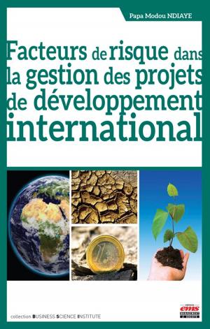 Cover of the book Facteurs de risque dans la gestion des projets de développement international by Philippe Robert-Demontrond