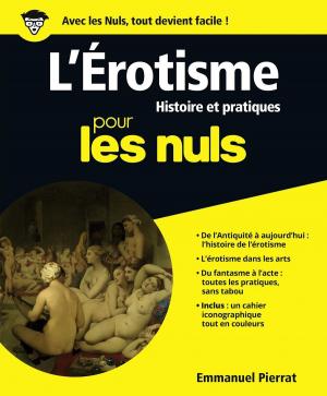 Cover of the book L'Erotisme pour les Nuls by Jean-Yves PAUMIER