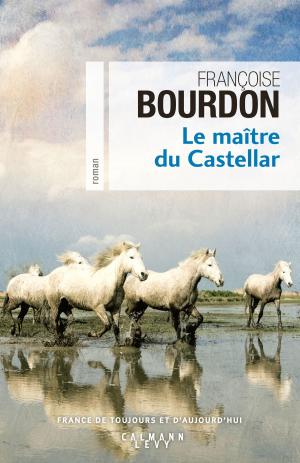 Cover of the book Le Maître du Castellar by Alain Gandy