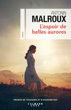 Cover of the book L'Espoir de belles aurores by Antonin Malroux