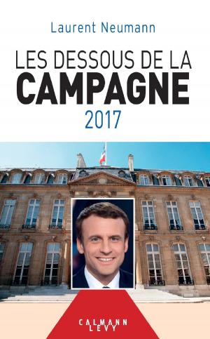 Cover of the book Les Dessous de la campagne 2017 by Jean-Philippe Bouchard
