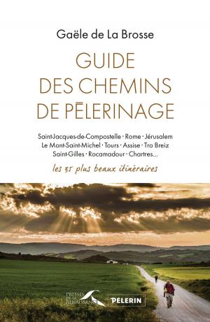 Cover of the book Guide des chemins de pèlerinage by Guillemette de LA BORIE