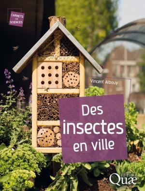 Cover of the book Des insectes en ville by Robert Barbault, Martine Atramentowicz