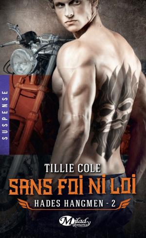 bigCover of the book Sans foi ni loi by 