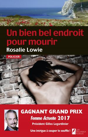 Book cover of Un bien bel endroit pour mourir. Gagnant Prix femme actuelle 2017