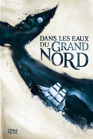 Cover of the book Dans les eaux du Grand Nord by Jean-Philippe DOMECQ