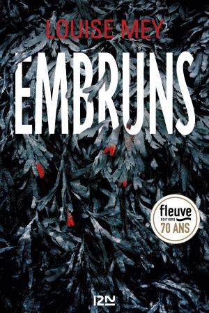 Cover of the book Embruns by J.A. Konrath