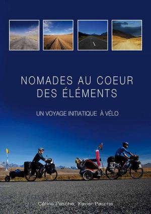 Cover of the book Nomades au coeur des éléments by Chris Sylvester