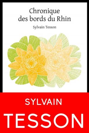 Cover of the book Chronique des bords du Rhin by Sylvie de Mathuisieulx