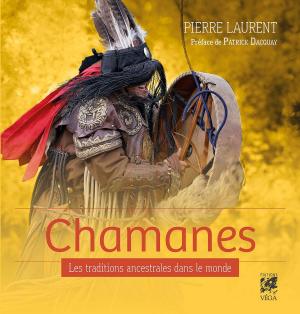 Cover of the book Chamanes by Elizabeth Brown