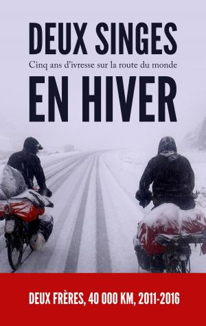 Book cover of Deux singes en hiver