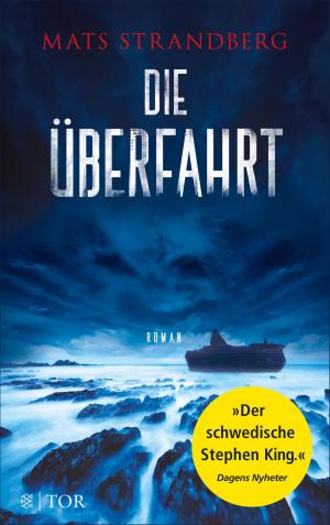 Cover of the book Die Überfahrt by Andrea Camilleri