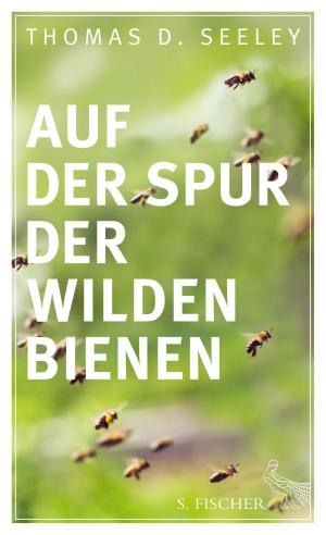 Cover of the book Auf der Spur der wilden Bienen by Tobias Kurfer