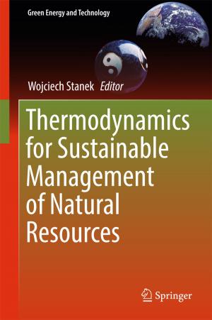Cover of the book Thermodynamics for Sustainable Management of Natural Resources by Stephen Jia Wang, Patrick Moriarty