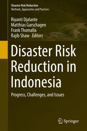 Cover of the book Disaster Risk Reduction in Indonesia by Wiktor Nowakowski, Michał Śmiałek