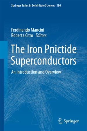 bigCover of the book The Iron Pnictide Superconductors by 