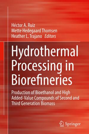 Cover of the book Hydrothermal Processing in Biorefineries by Manuel Pedro Rodríguez Bolívar, Laura Alcaide Muñoz