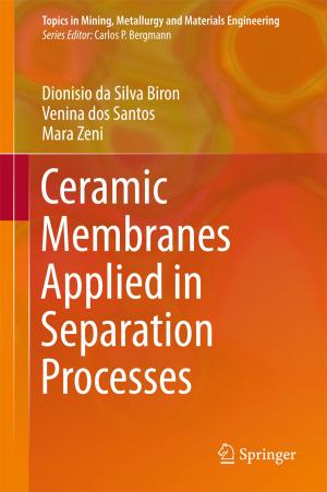 Cover of the book Ceramic Membranes Applied in Separation Processes by Damien Rogers