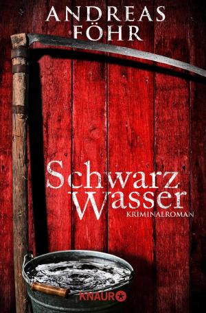 Cover of the book Schwarzwasser by Liv Keen