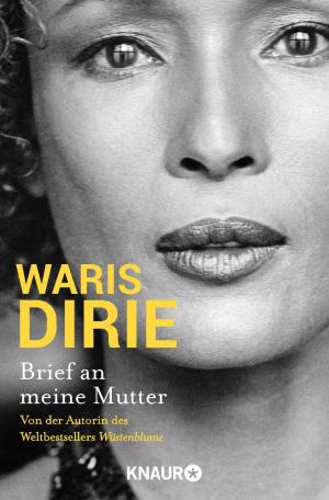 Cover of the book Brief an meine Mutter by Heidi Rehn