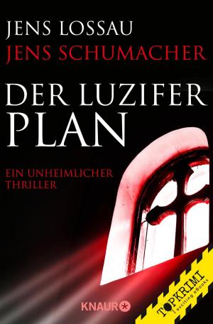 Book cover of Der Luzifer-Plan