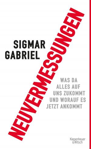 Cover of the book Neuvermessungen by Sven Böttcher