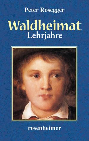 Cover of the book Waldheimat - Lehrjahre by Gabriele Weishäupl