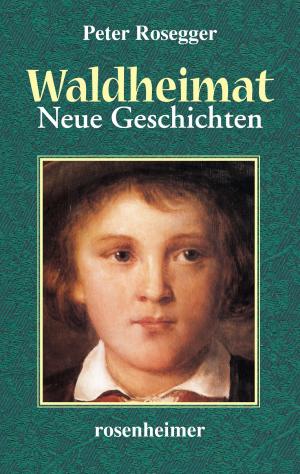 Cover of the book Waldheimat - Neue Geschichten by Hans-Peter Schneider