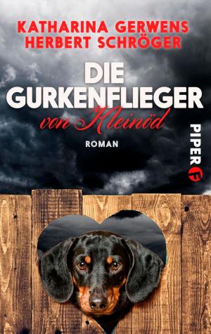 Cover of the book Die Gurkenflieger von Kleinöd by Tilmann Waldthaler